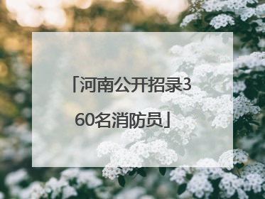 河南公开招录360名消防员